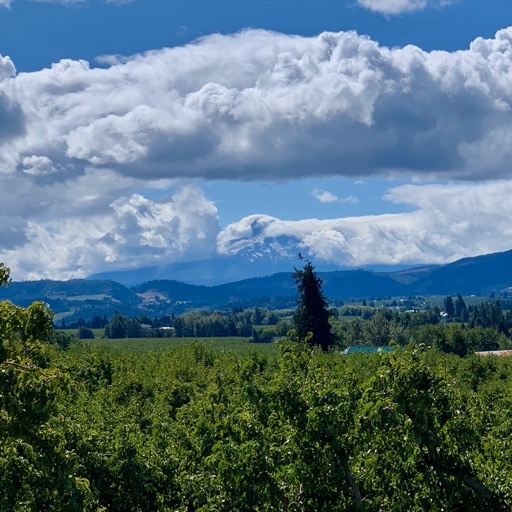 Beautiful Columbia Valley/
		    1280 Eastside Rd, Hood River, OR 97031, USA