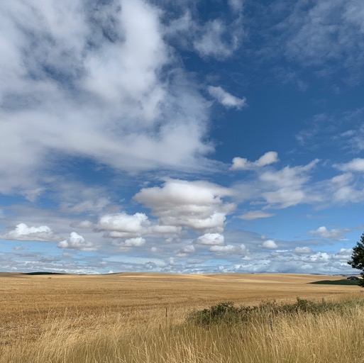 
		    2014 Mill Creek Rd, Walla Walla, WA 99362, USA