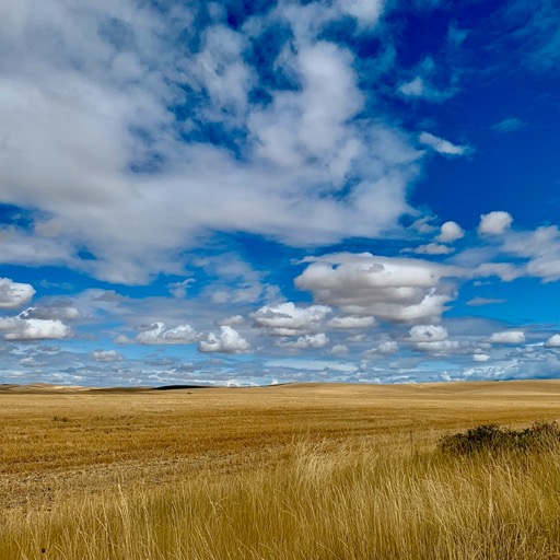 
		    2014 Mill Creek Rd, Walla Walla, WA 99362, USA