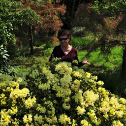 Mom and the azalea /
		    