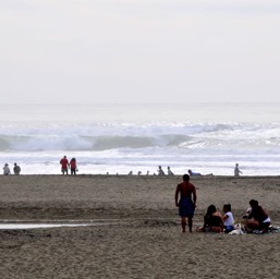 Crazy waves at Ocean beach/
		    