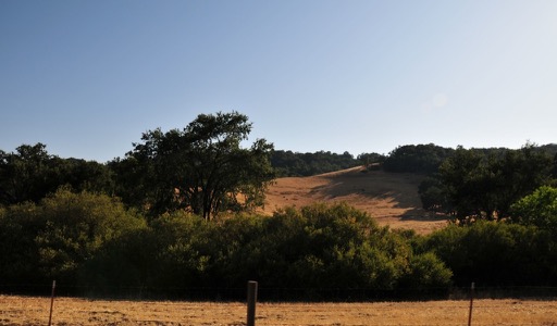 Rolling hills of The West Side