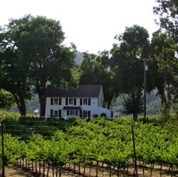 A winery house/
		    