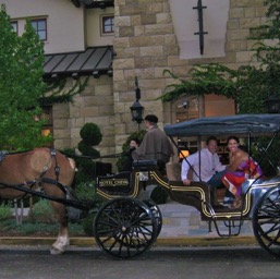 Our ride to dinner/
		    