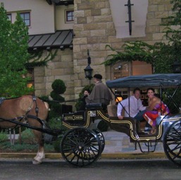 Our ride to dinner/
		    