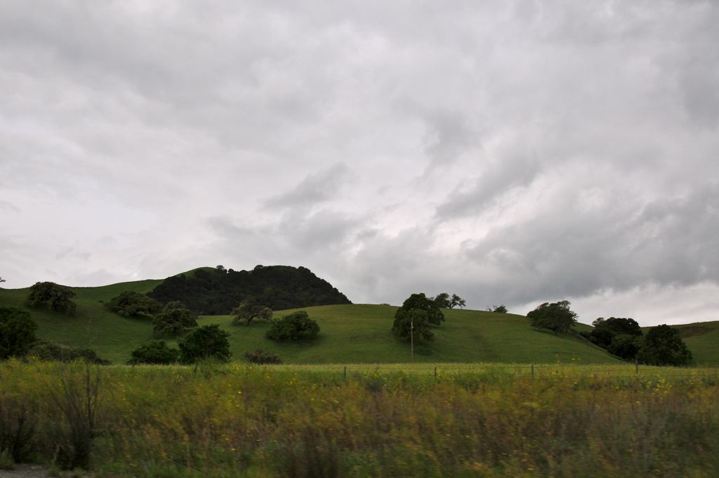 Green hills off of 101... pertty/