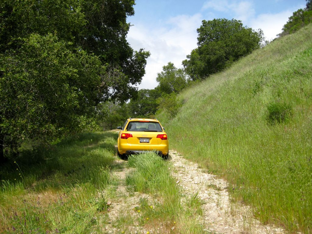 Poor little bumble-wagon!/