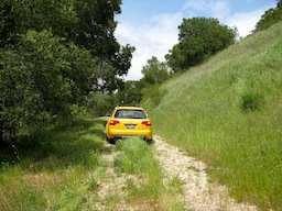 Bumble-wagon getting lost in the weeds!