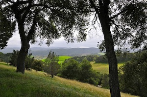 The Gap in the spring