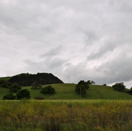 Green hills off of 101... pertty/
		    