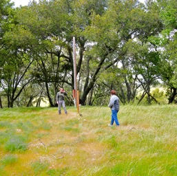 Mom inspecting the land/
		    