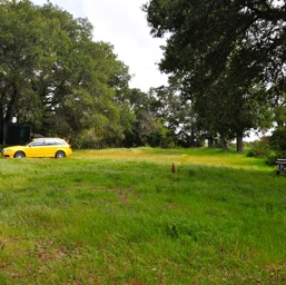 Bumble-wagon getting lost in the weeds/
		    