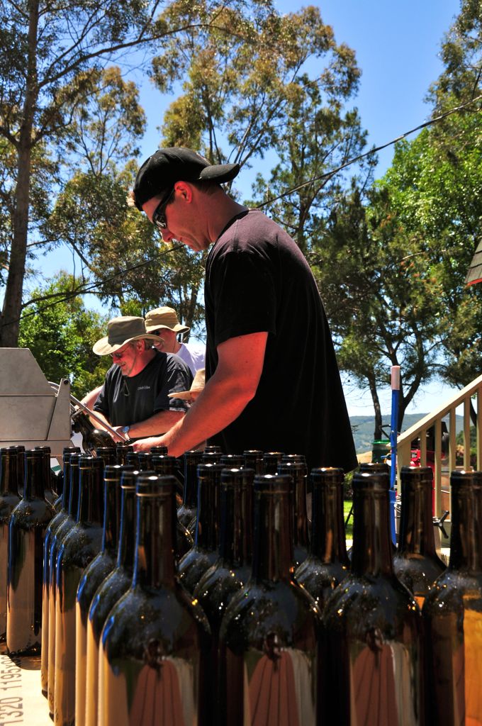 So many bottles to fill/