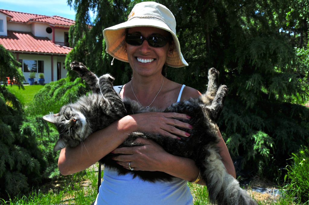 Floppy lavender kitty/