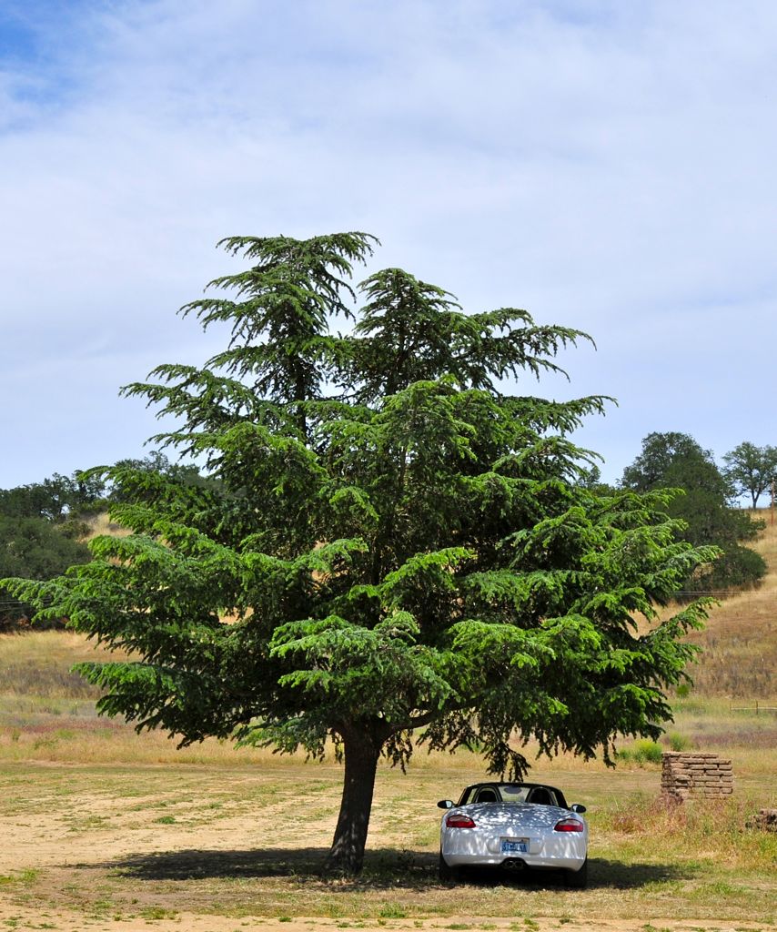 Bestest parking spot to protect our wine/