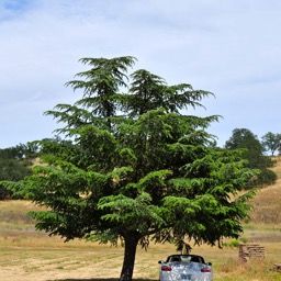 Bestest parking spot to protect our wine/
		    