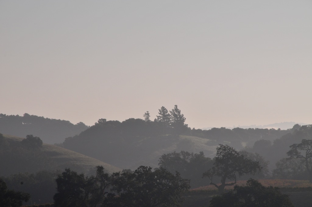 Willow Creek's top-of-the-hill from afar/
