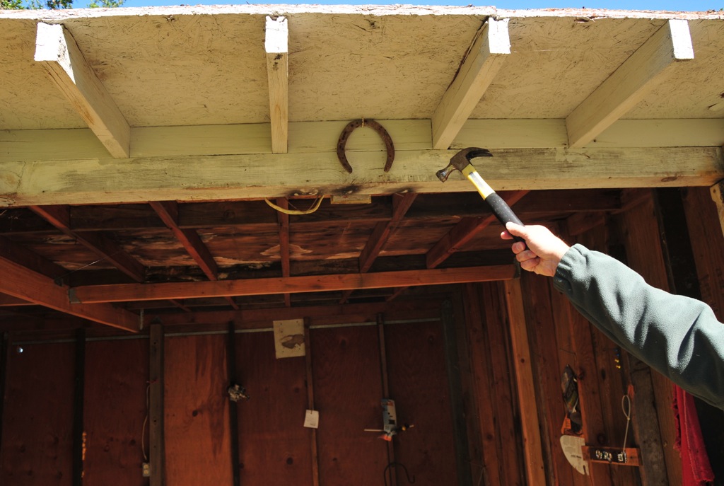 Our luck! She is falling out!/