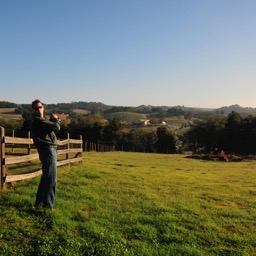 Paso hills in the morning sun/
		    