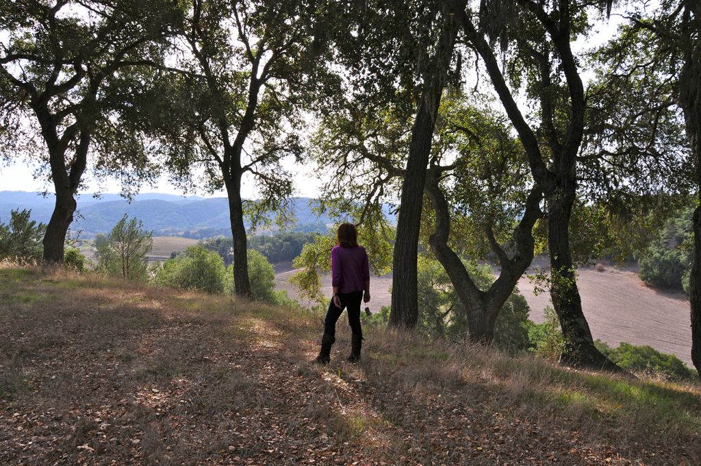 Tara minding The Gap/
