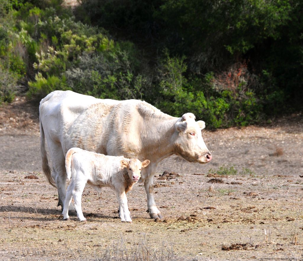 Mom with brand new baby!/