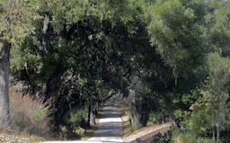 Willow Creek Road