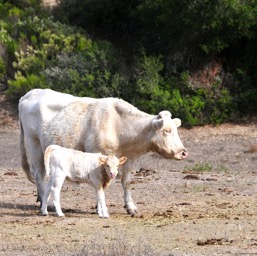 Mom with brand new baby!/
		    