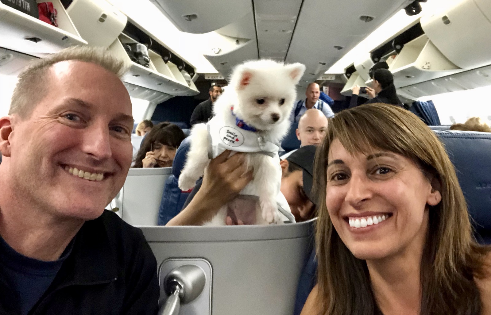 Our travel companion, the most adorable pup!/