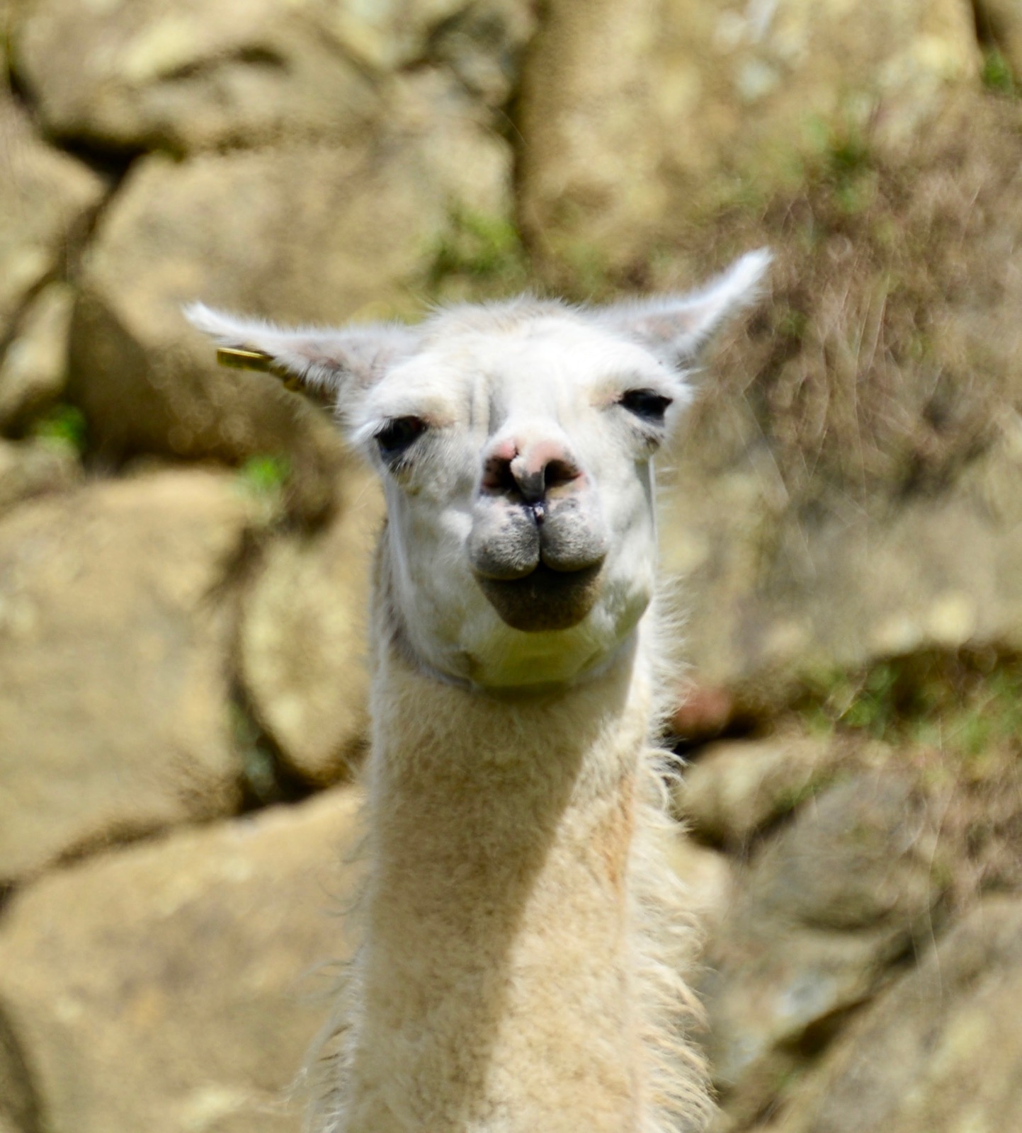 Part of the landscaping crew/