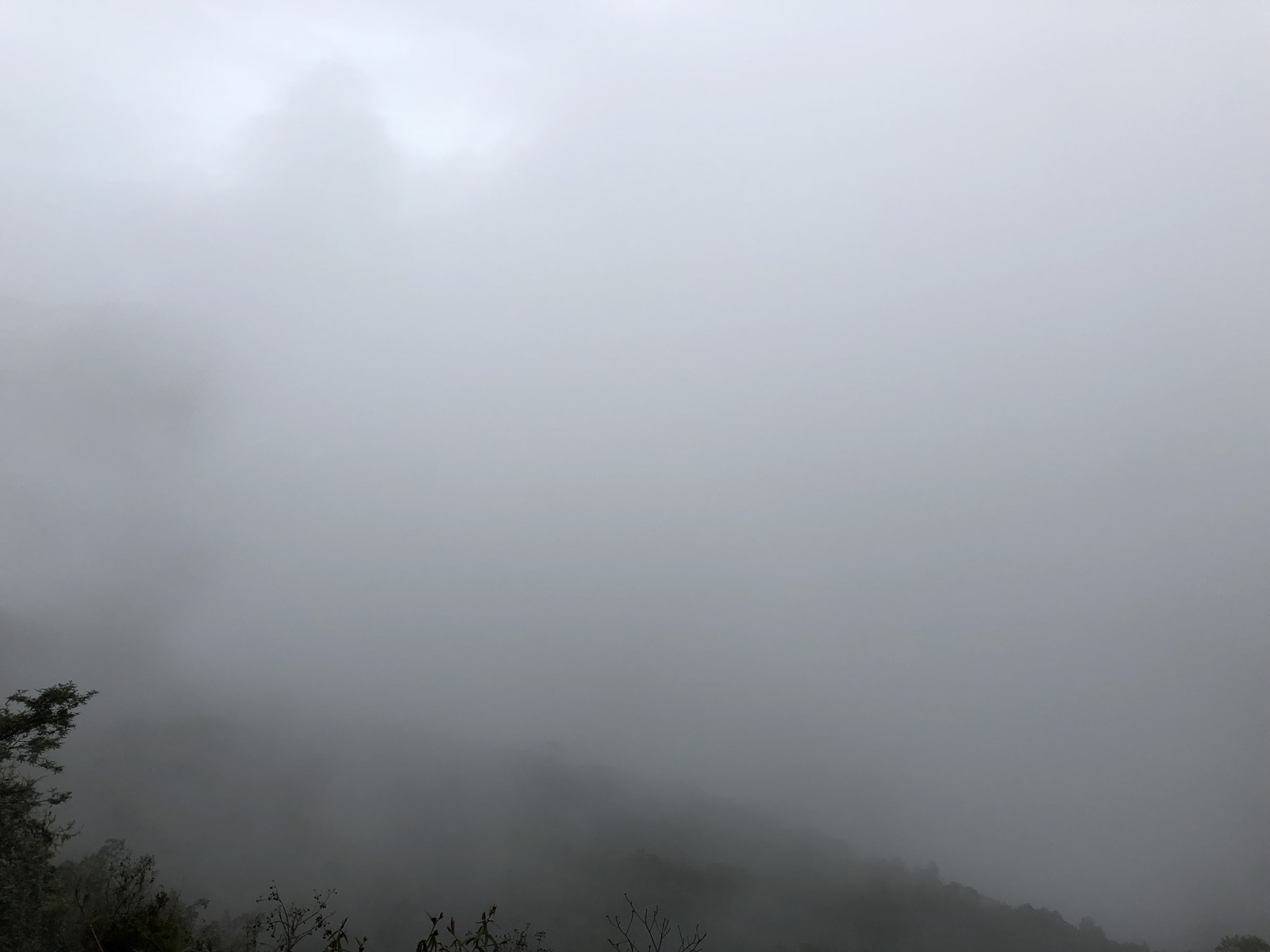 Typical view of Machu Picchu!/