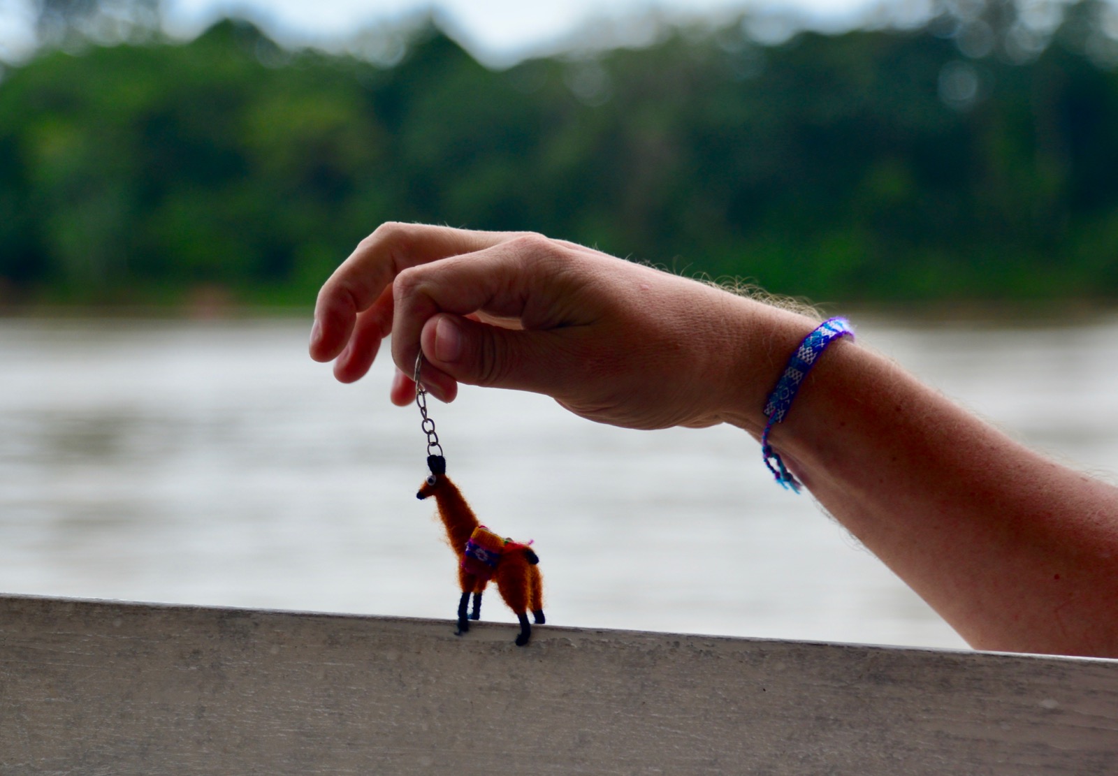 Always keeping us company/