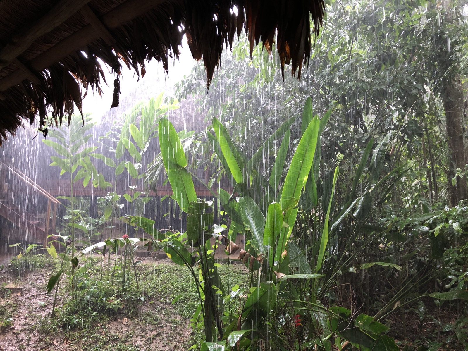 Just a little downpour to say goodbye/