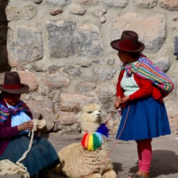 These folks are not actually dressed for the tourist /
		    