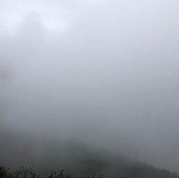 Typical view of Machu Picchu!/
		    