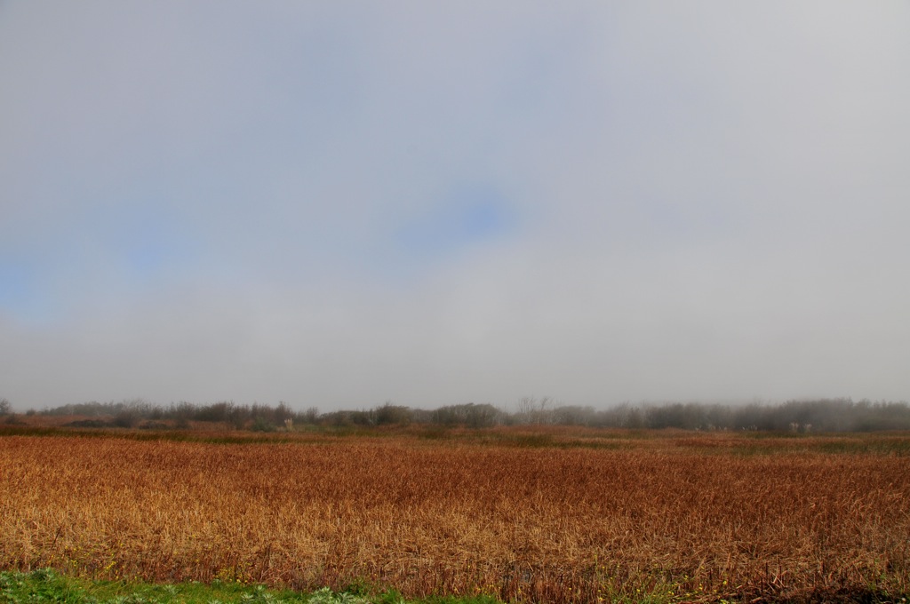 On the way to Pescadero/