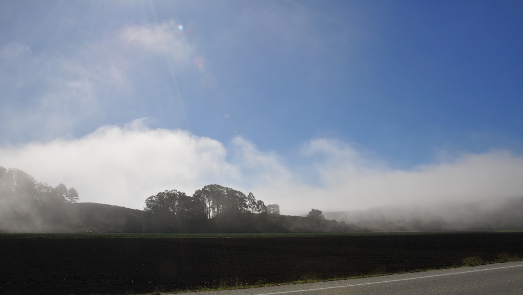 On our way out, the fog was still rolling in from the ocean/