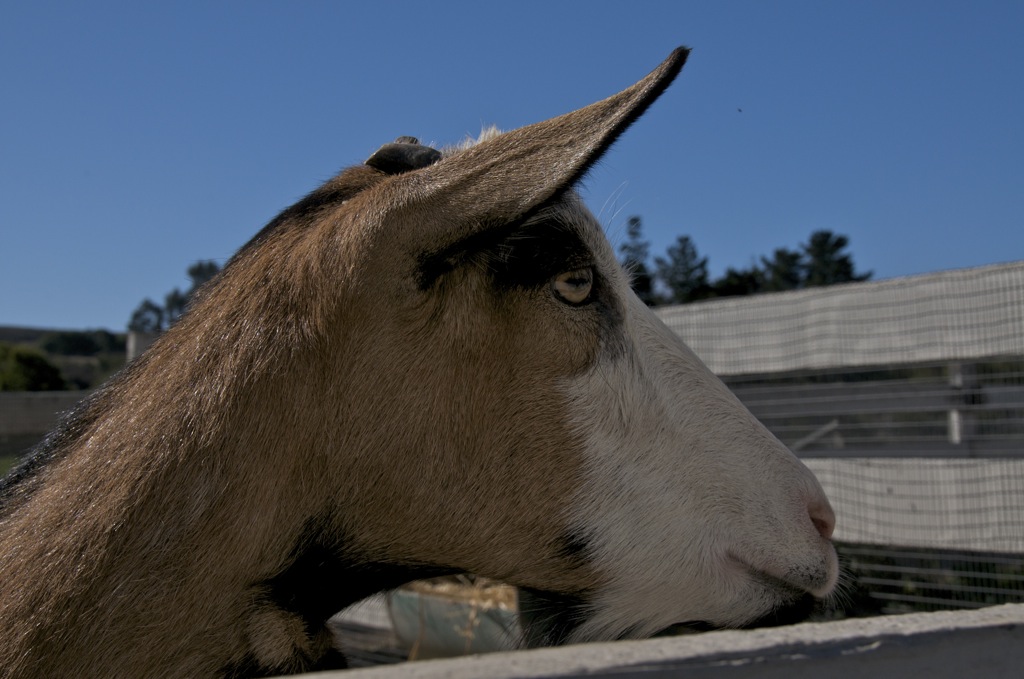 ... and not too happy about it!/