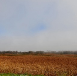 On the way to Pescadero/
		    