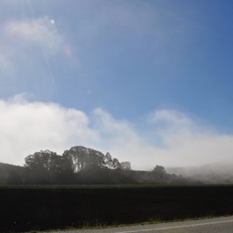 On our way out, the fog was still rolling in from the ocean/
		    