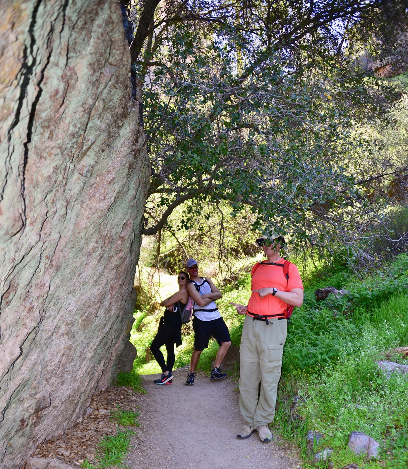 Not behind the tree!/