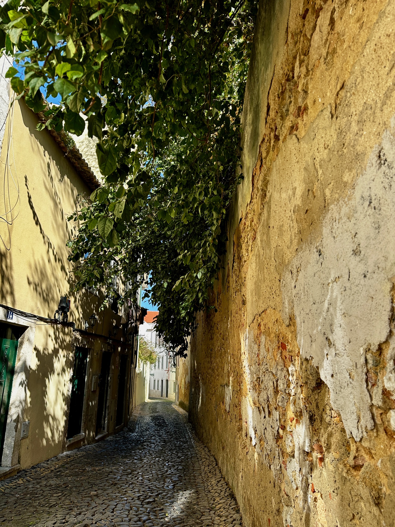 A simple street in Alfama/R. das Damas 27, 1100-532 Lisboa, Portugal