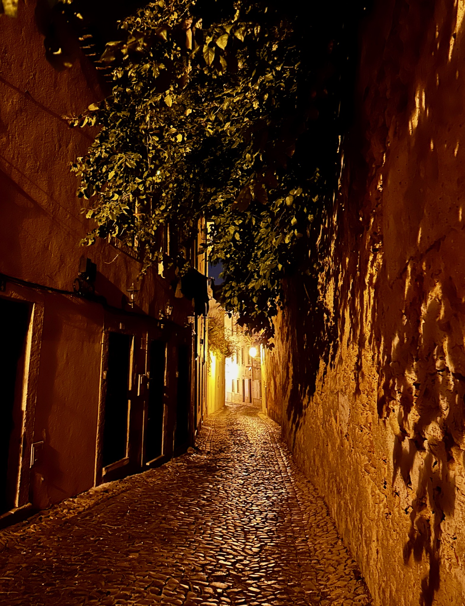 A night stroll/R. Dálias 18, 1100-509 Lisboa, Portugal
