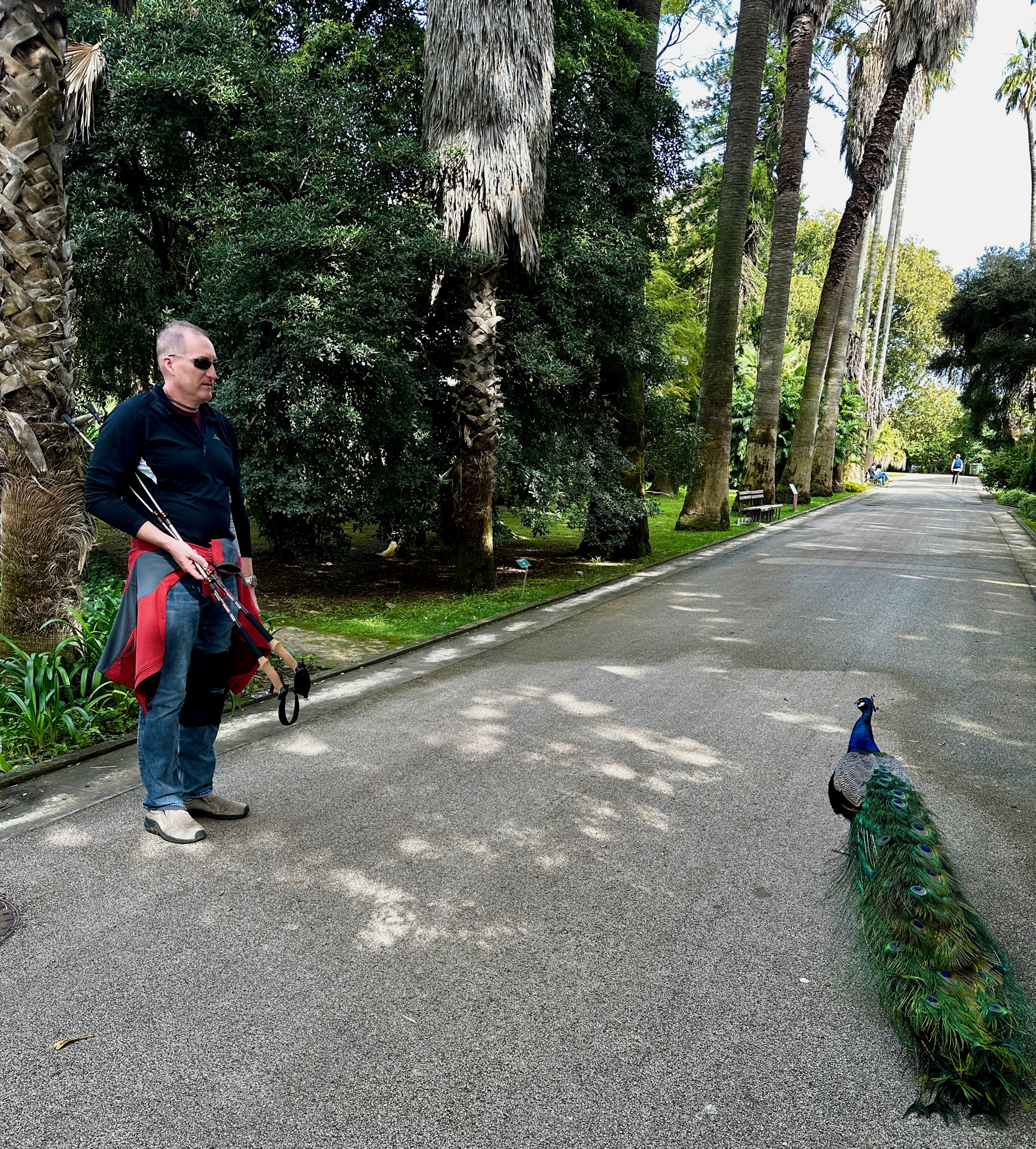 Our companion during our visit to Jardim Botânico Tropical/Tv. Marta Pinto 21 1, 1300-469 Lisboa, Portugal