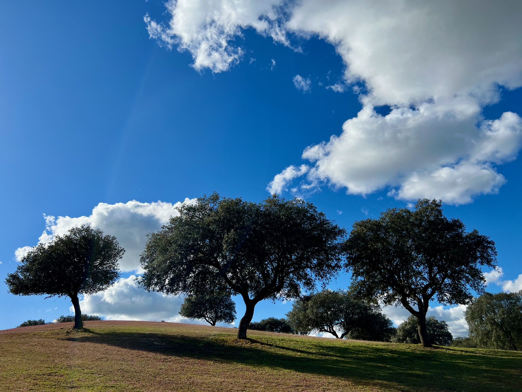 Beautiful scenery just off the highway/