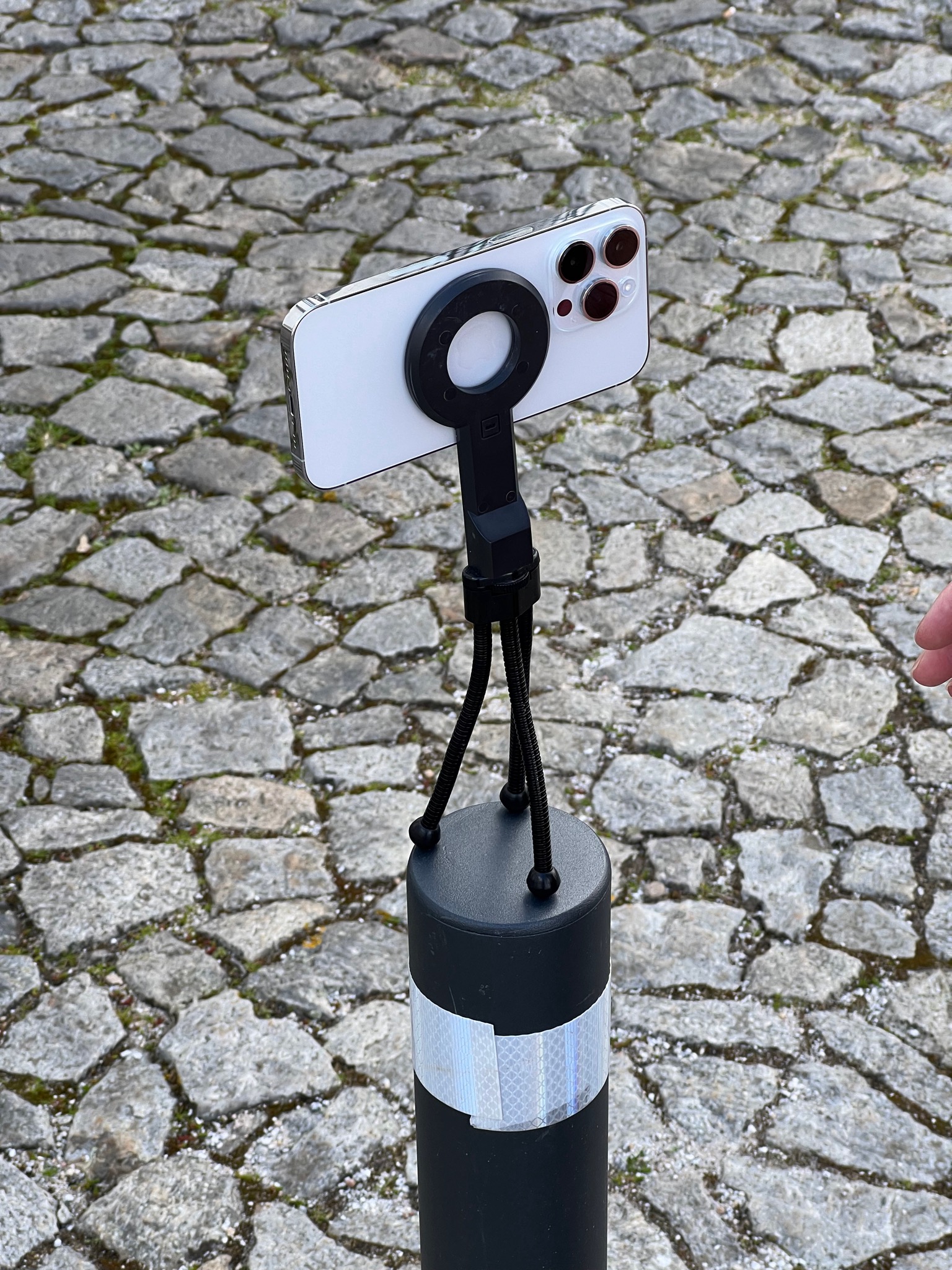 Anything for a good selfie... /Largo Dr. Mário Chicò 5, 7000-845 Évora, Portugal