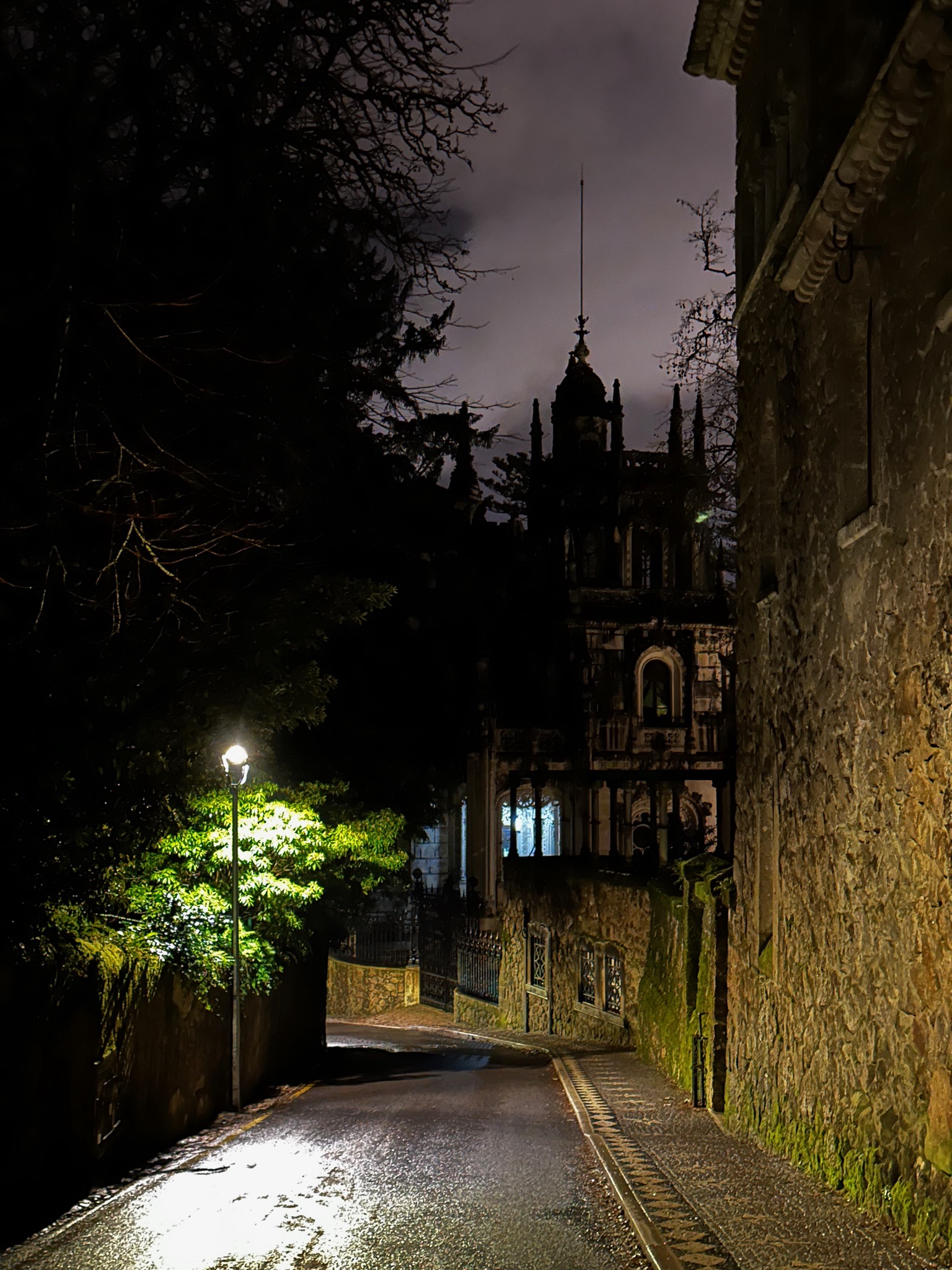 Sintra-Cascais Nature Park @ night/R. Barbosa du Bocage 7, 2710-567 Sintra, Portugal
