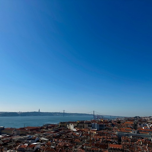 View from Jardim do Castelo de São Jorge/
		    Costa do Castelo 4, 1100-157 Lisboa, Portugal