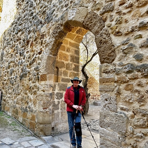 Castle of São Jorge/
		    Garden of the Castle of São Jorge, R. do Espírito Santo, 1100-129 Lisboa, Portugal