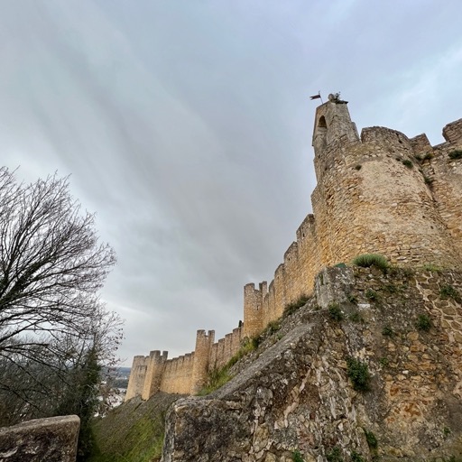 Castelo de Tomar/
		    Estr. do Convento 8 2300, 2300 Tomar, Portugal