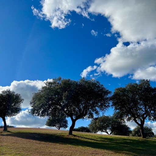 Beautiful scenery just off the highway/
		    